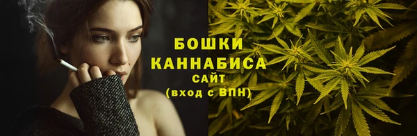 трава Арсеньев