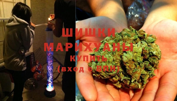 дживик Аркадак