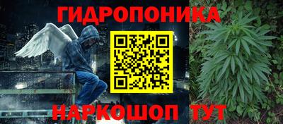 a pvp Лесосибирск