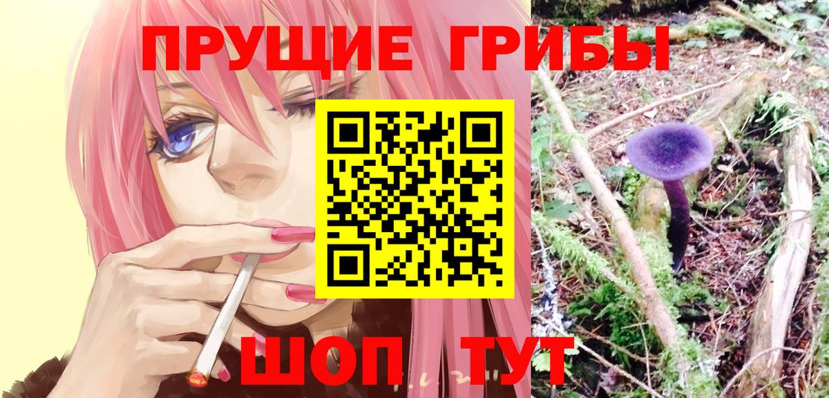 Псилоцибиновые грибы мицелий  Псилоцибиновые грибы GOLDEN TEACHER  Вход с VPN  Зима 